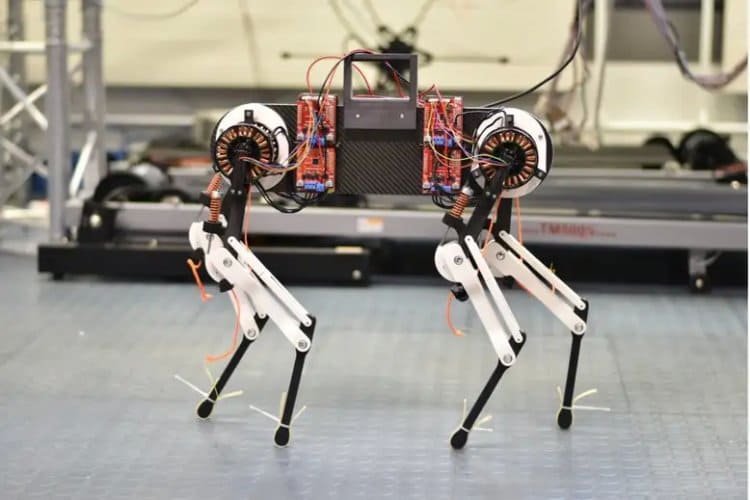 Dört ayaklı bir robot, yeni doğmuş bir tay gibi bir saatte yürümeyi öğrenebilir
